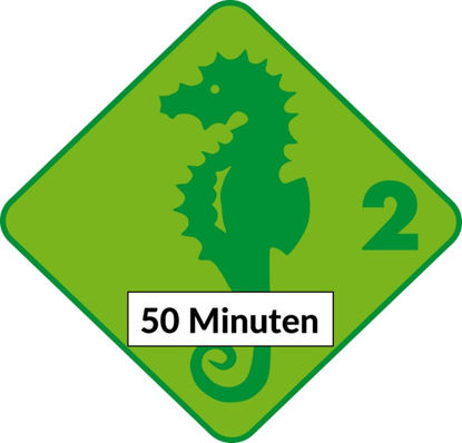 Bild von IK Seepferd 5x50min